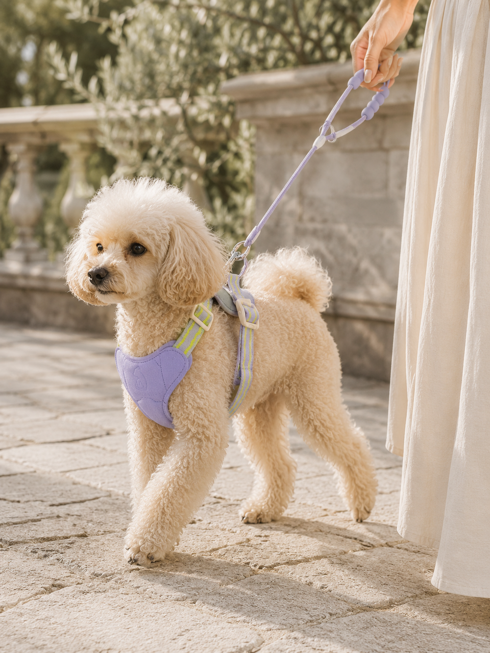 Lavender Trek Harness & Leash Set