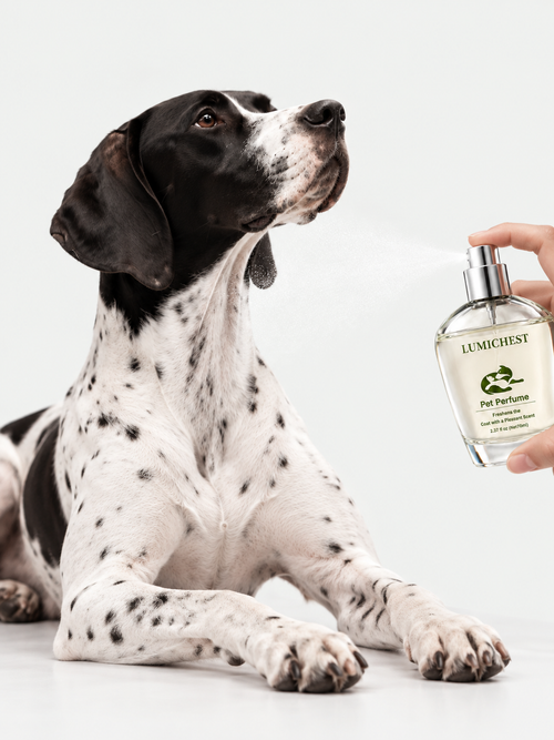 03 Pet Spa Ritual Set