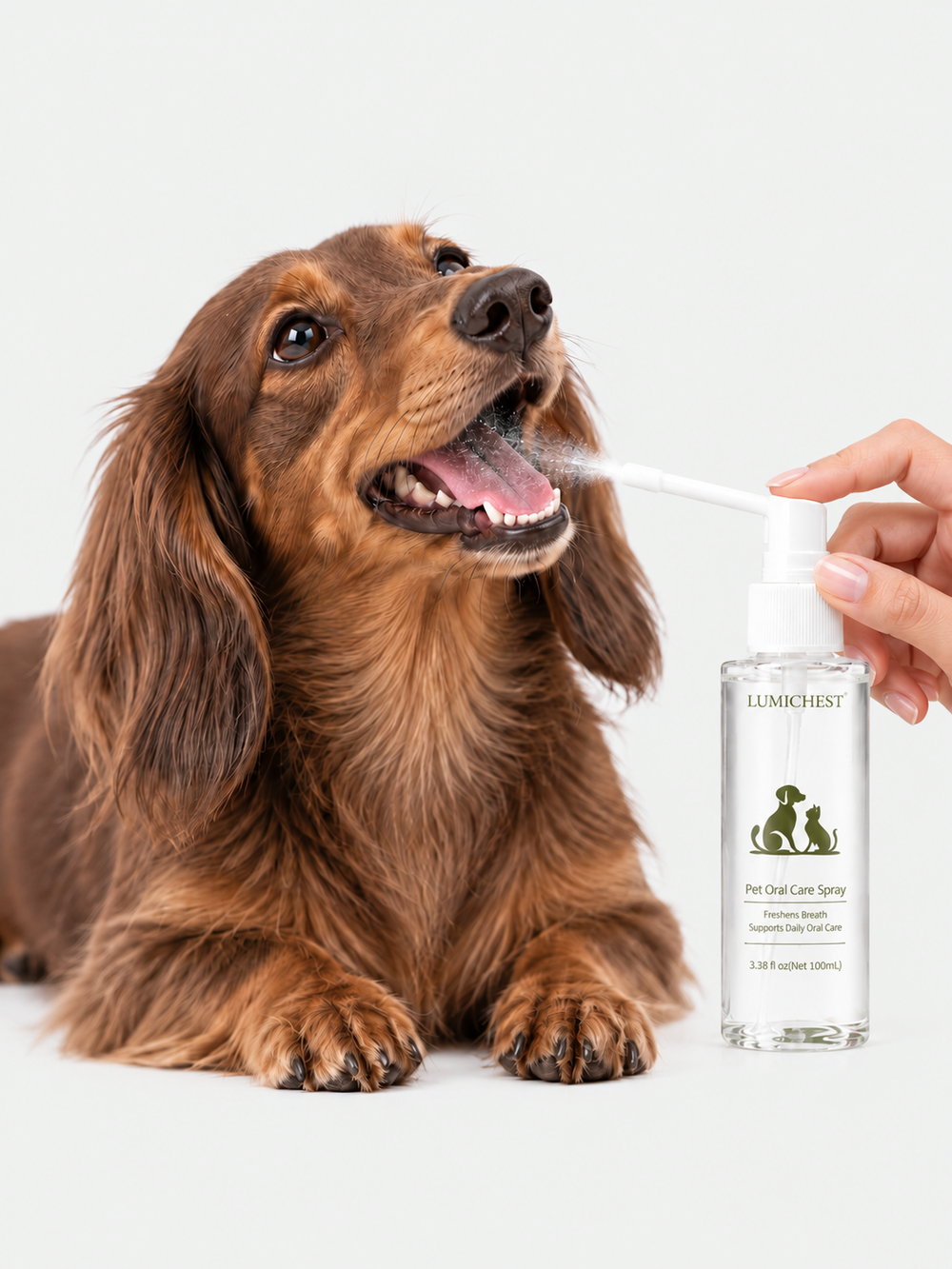 LUMICHEST™Pet Oral Care Spray