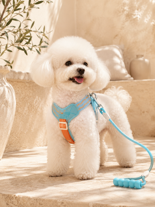 Aqua Breeze Harness & Leash Set